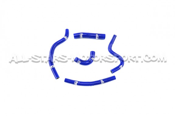 Megane 2 RS Forge Ancillary Hoses Kit