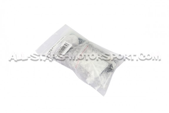 Pompe a essence basse pression CTS Turbo pour Golf 7 GTI / Golf 7 R / Leon 3 Cupra / S3 8V