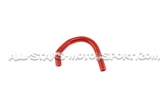 Audi TT MK1 8N / S3 8L / Leon Cupra 1M Forge Servo Hose