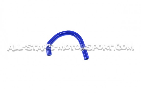 Audi TT MK1 8N / S3 8L / Leon Cupra 1M Forge Servo Hose