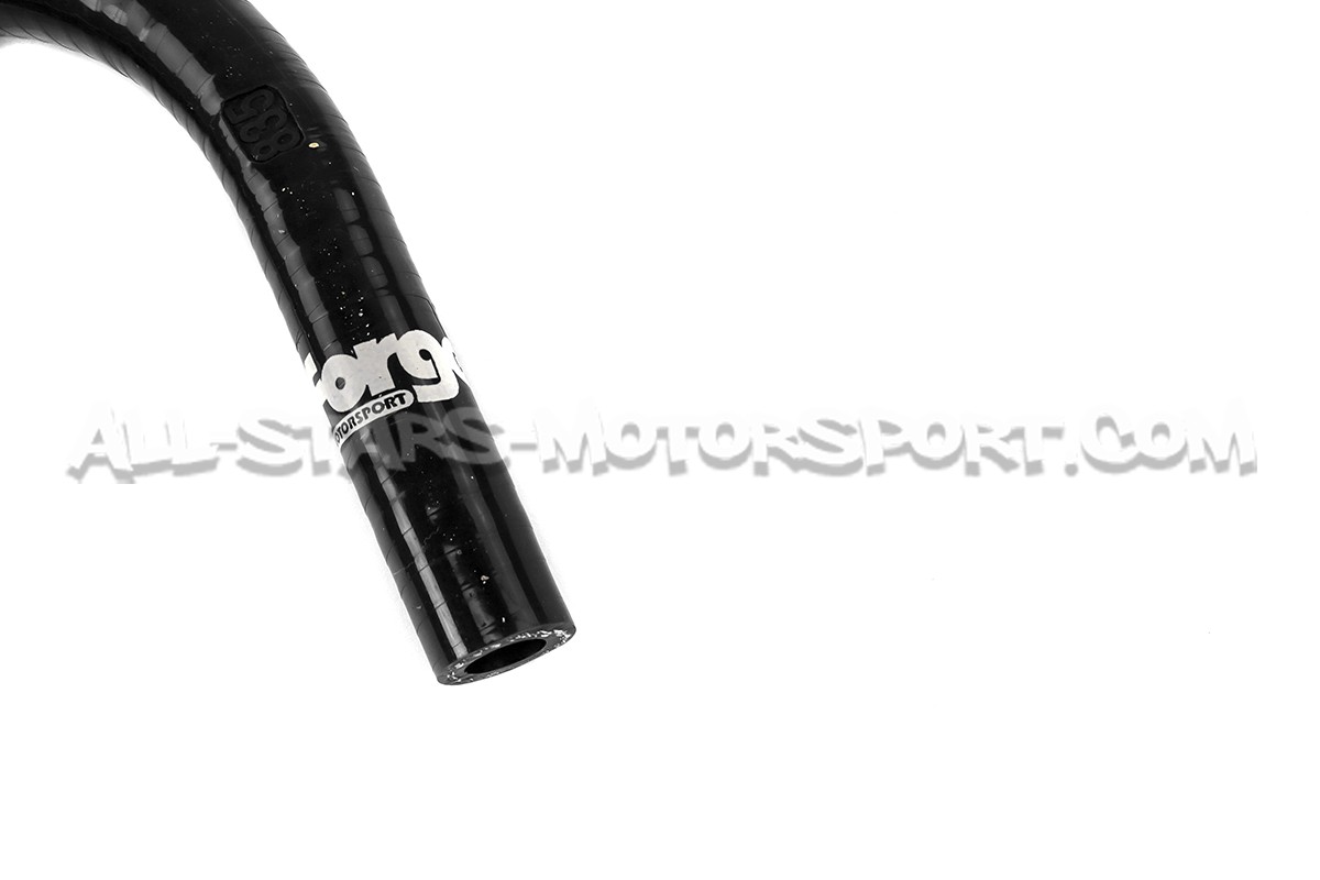 Audi TT MK1 8N / S3 8L / Leon Cupra 1M Forge Servo Hose