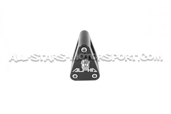 Polo 6C - AW GTI / Ibiza 6P Cupra / A1 TSI Alpha Competition Turbo Muffler Delete