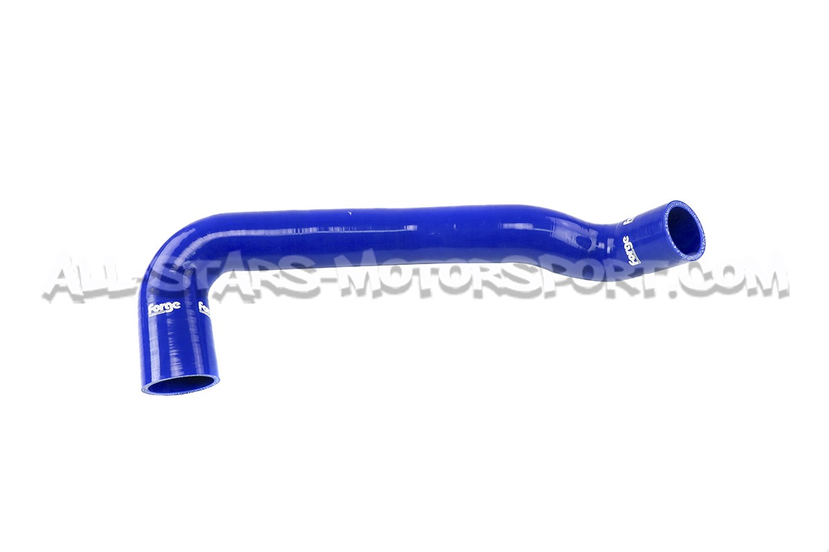 Mini Cooper S R56 Forge Resonator Delete Hose