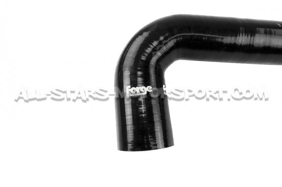Mini Cooper S R56 Forge Resonator Delete Hose