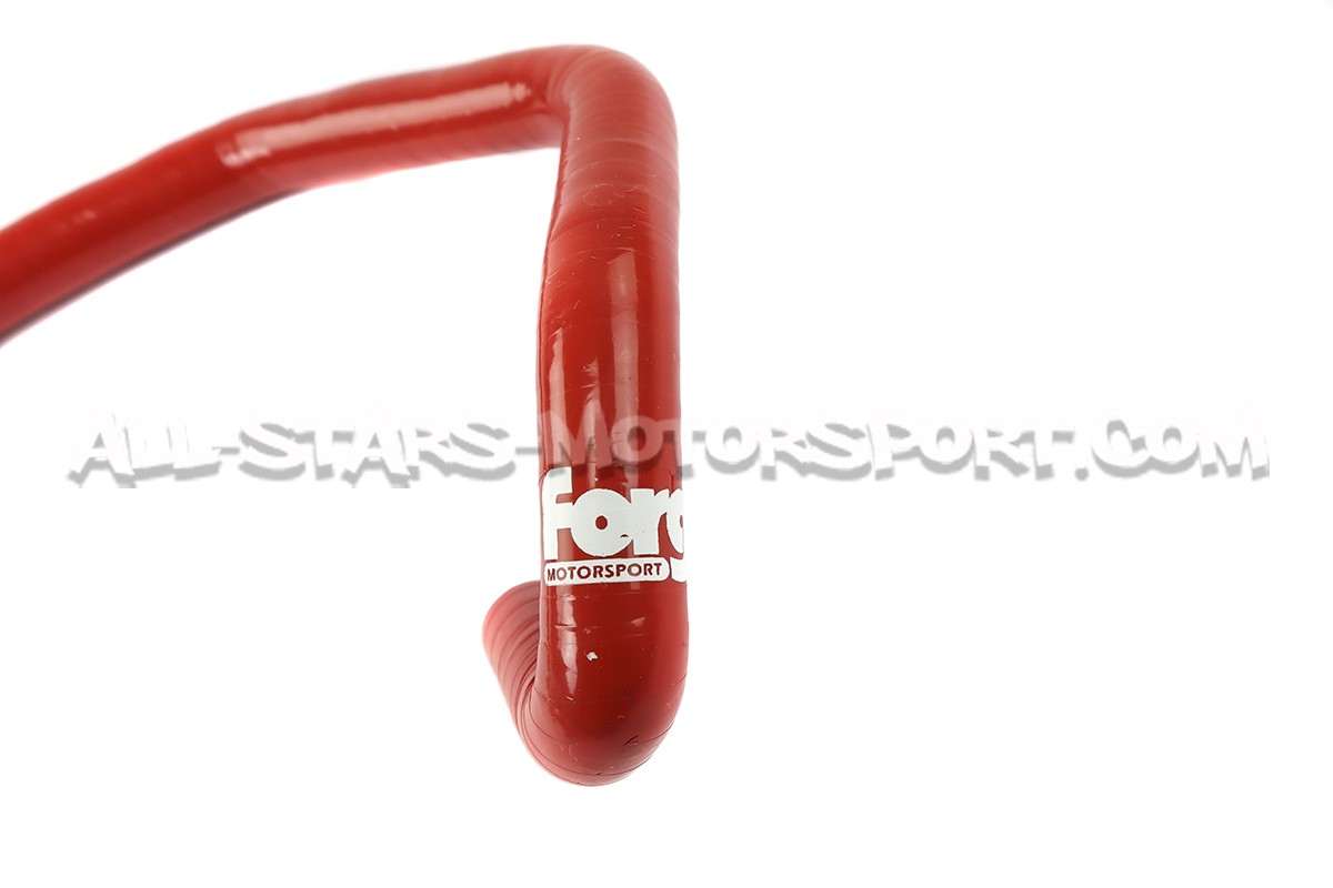 Durite de canister silicone Forge pour A3 8P V6 3.2 / Golf 5 R32