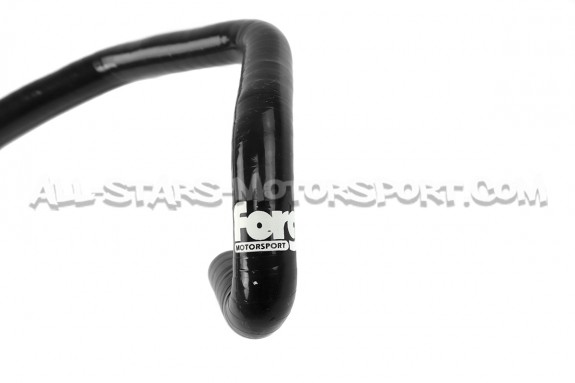 Durite de canister silicone Forge pour A3 8P V6 3.2 / Golf 5 R32