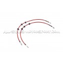 Latiguillos de freno metalicos Goodridge para BMW M5 E60