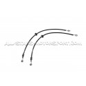 Flexibles de frein aviation Goodridge pour Renault Megane 2 RS F1 team (voir 0610)