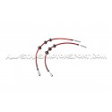 Goodridge Braided Brake Hose Lines Kit