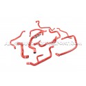 Durites de refroidissement silicone Forge pour Megane 2 RS