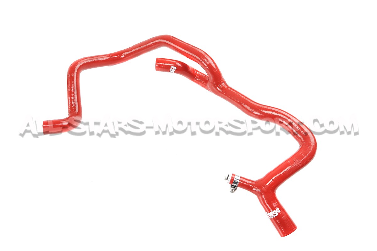 Durites de refroidissement silicone Forge pour Megane 2 RS