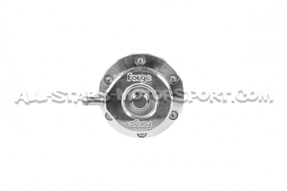 Wastegate réglable Forge pour Fiat 500  / 595 Abarth avec turbo Garrett