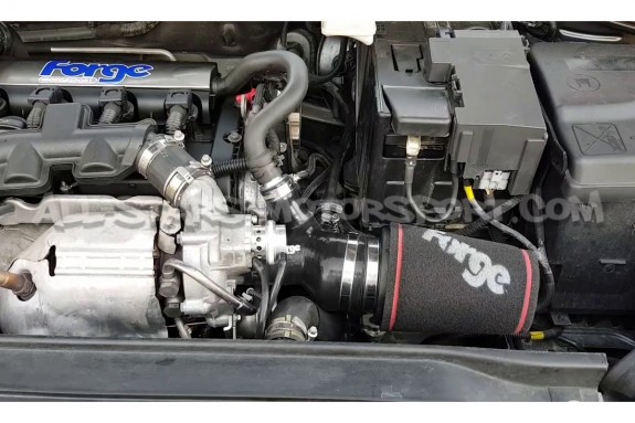 Admission Forge Motorsport pour Citroen DS3 1.6 THP -16