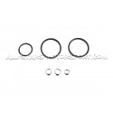 Pompe a essence Deatchwerks DW65V 265lph pour Mazda 3 MPS