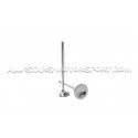 Ferrea Competition Plus Engine Valves x30 for Audi S4 B5 and RS4 B5