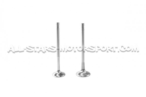 Ferrea Competition Plus Engine Valves x20 for S3 8L / TT 8N / Leon 1M / Golf 4 GTI 1.8T 20V