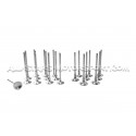 Kit de 20 valvulas Ferrea Competition Plus para S3 8L / TT 8N / Leon 1M / Golf 4 GTI 1.8T 20V