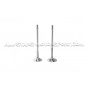 Kit de 24 valvulas Ferrea Competition Plus para BMW M3 E46