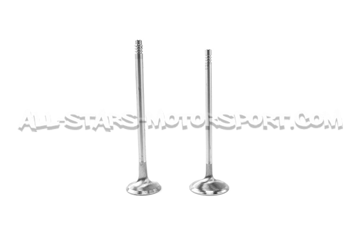 Ferrea Competition Plus Engine Valves x24 for BMW 135i E8x / 1M / 335i E9x N54