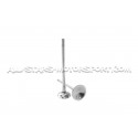 Kit de 24 valvulas Ferrea Competition Plus para BMW 135i E8x / 1M / 335i E9x N54