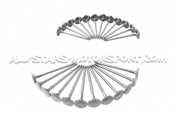 Ferrea Competition Plus Engine Valves x24 for BMW 135i E8x / 1M / 335i E9x N54