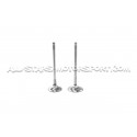 Ferrea Competition Plus Engine Valves x24 for BMW 135i E8x / 1M / 335i E9x N54