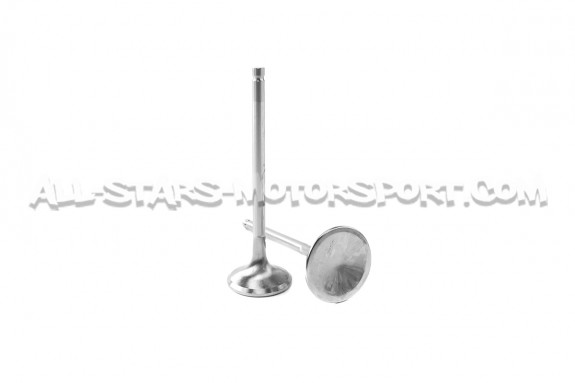 Ferrea Competition Plus Engine Valves x24 for BMW 135i E8x / 1M / 335i E9x N54