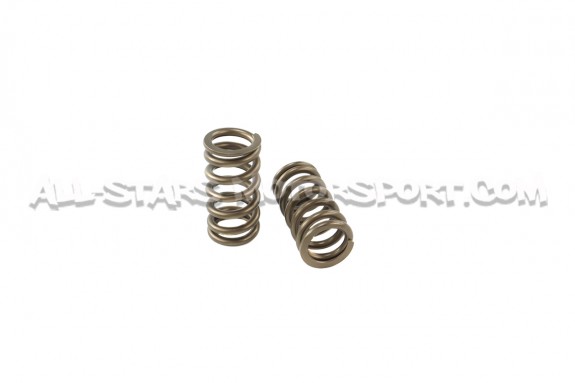 Kit ressorts et coupelles de soupape Ferrea pour Audi S3 8P / Golf ...
