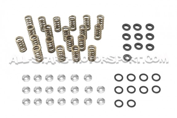 Kit de muelles y copelas de valvula Ferrea para Audi RS3 / TTRS 2.5...