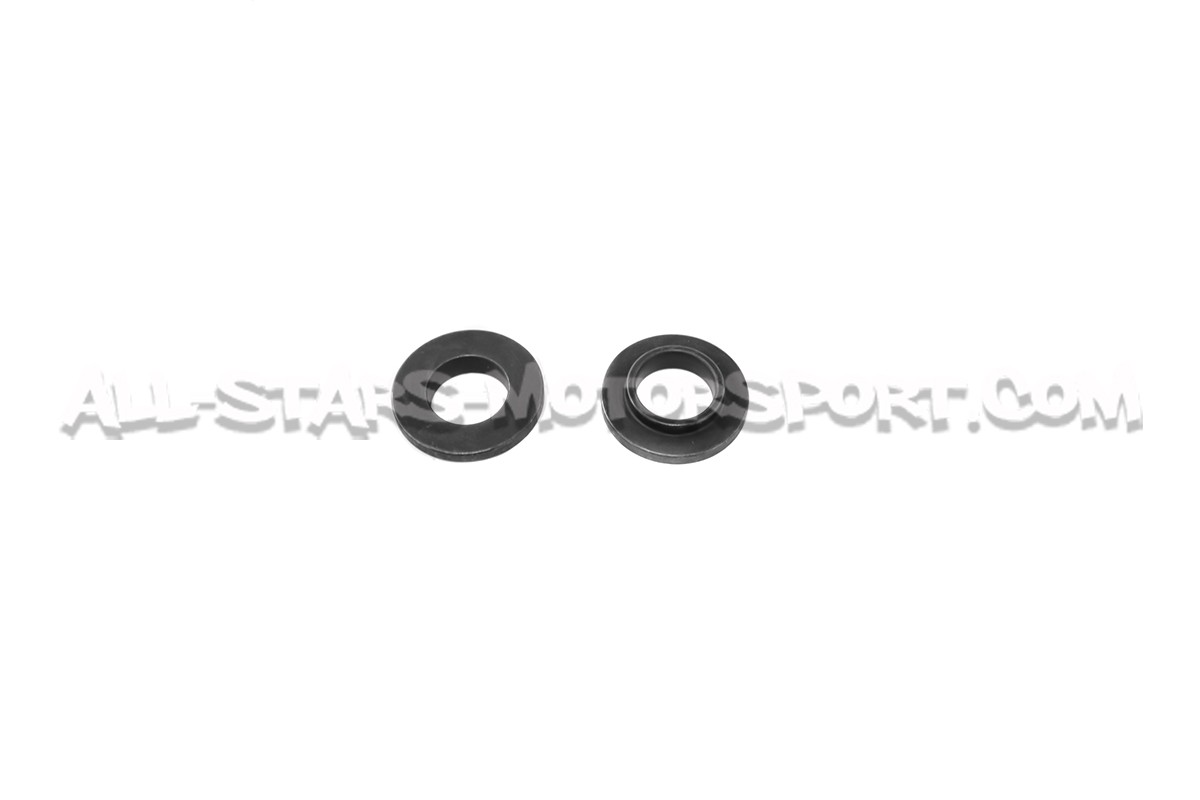 Kit de muelles y copelas de valvula Ferrea para Audi RS3 / TTRS 2.5...