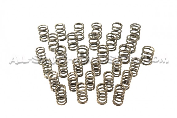 Ferrea Valve Springs and Retainers Kit for Mitsubishi Lancer Evo 8 / 9