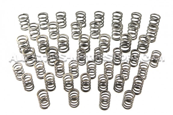 Ferrea Valve Springs and Retainers Kit for BMW M3 E36 3.0 / 3.2