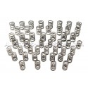 Kit ressorts et coupelles de soupape Ferrea pour BMW M3 E36 3.0 / 3.2