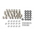 Kit de muelles y copelas de valvula Ferrea para Honda Civic EG / EK...