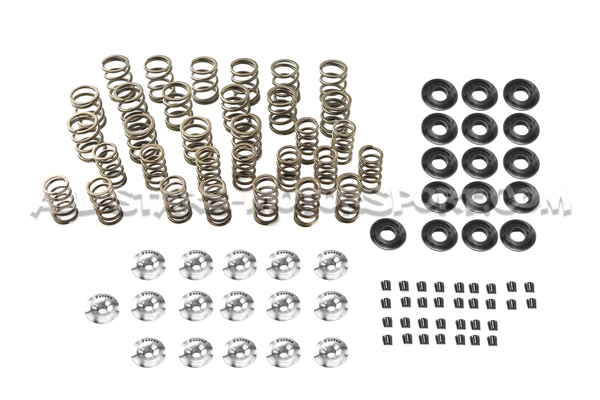 Kit de muelles y copelas de valvula Ferrea para Honda Civic EG / EK 1.6 VTI B16