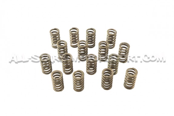 Kit de muelles y copelas de valvula Ferrea para Focus 3 RS / Mustan...