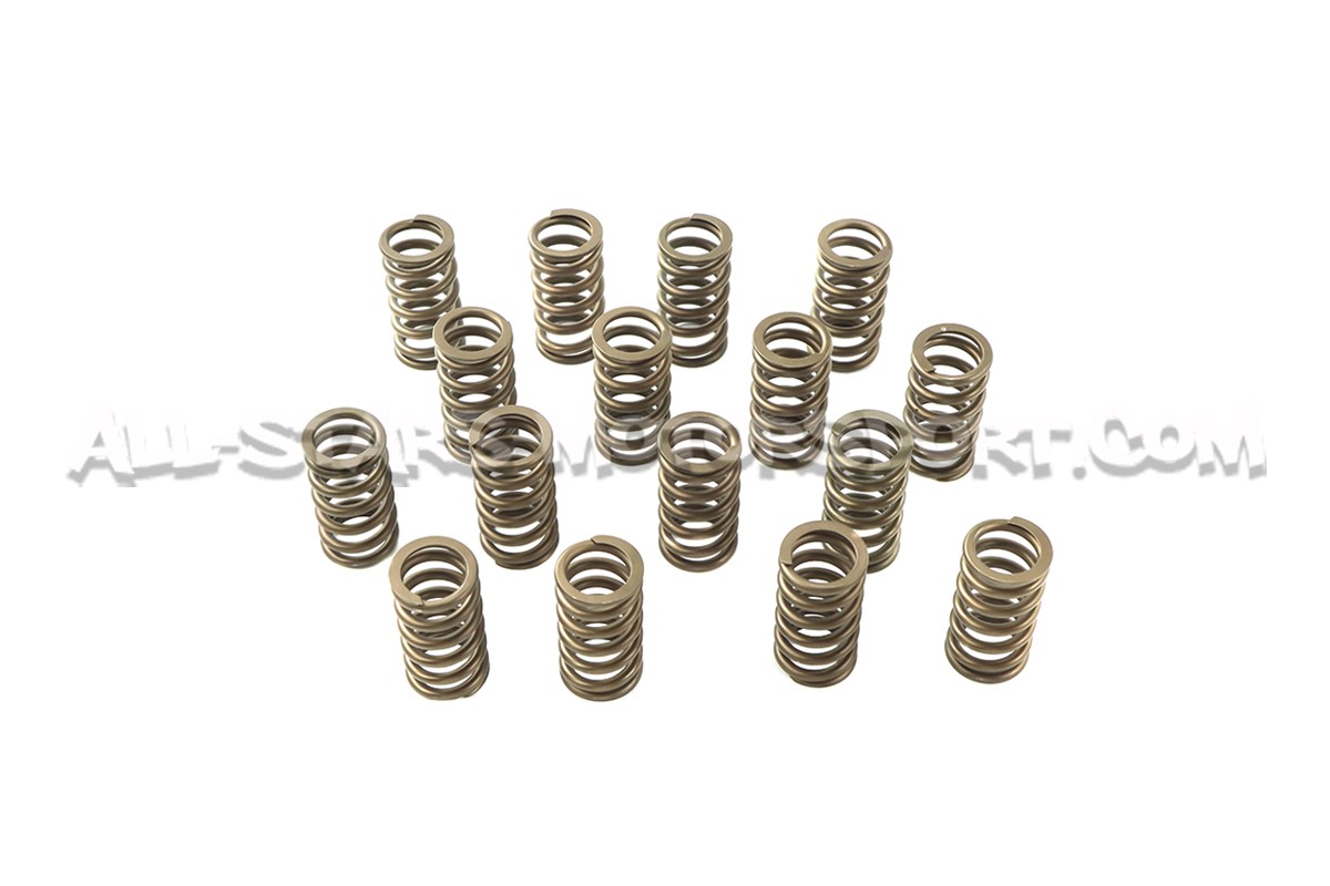Ferrea Valve Springs and Retainers Kit for Focus 3 RS / Mustang S55...