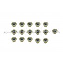 Kit de muelles y copelas de valvula Ferrea para Focus 3 RS / Mustan...