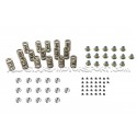 Ferrea Valve Springs and Retainers Kit for Focus 3 RS / Mustang S55...
