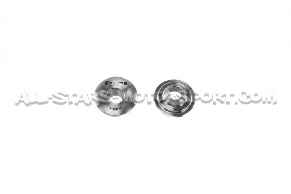Ferrea Valve Springs and Retainers Kit for Focus 3 RS / Mustang S55...