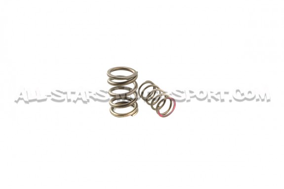 Ferrea Valve Springs and Retainers Kit for Mitsubishi Lancer Evo 10