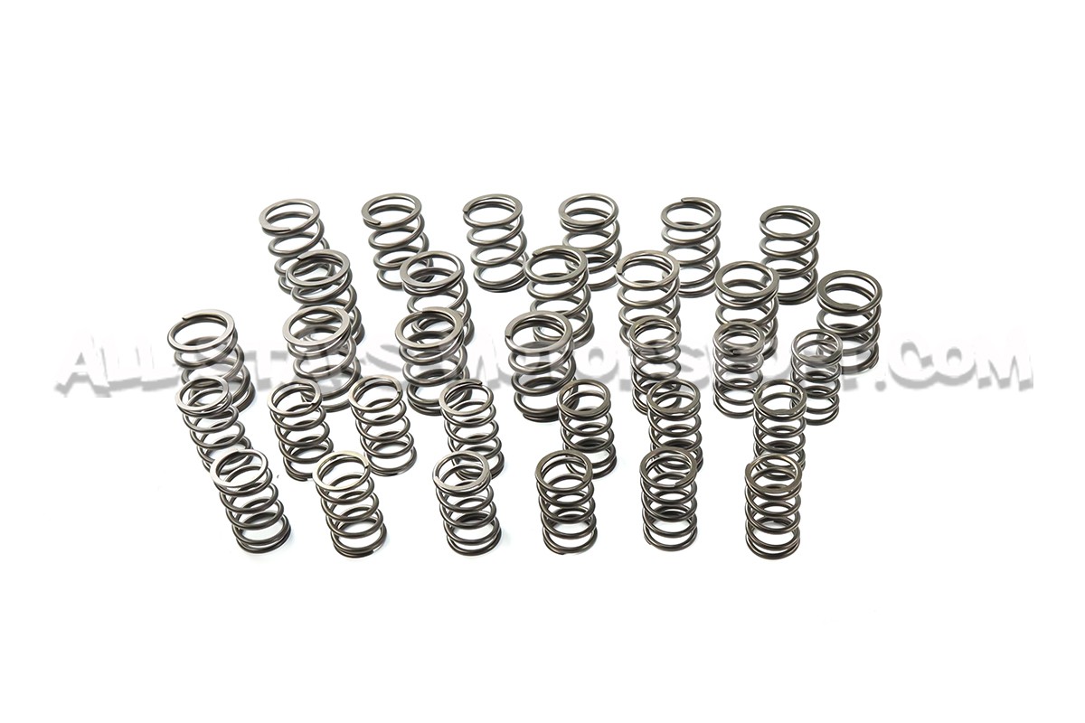 Ferrea Valve Springs and Retainers Kit for Honda S2000