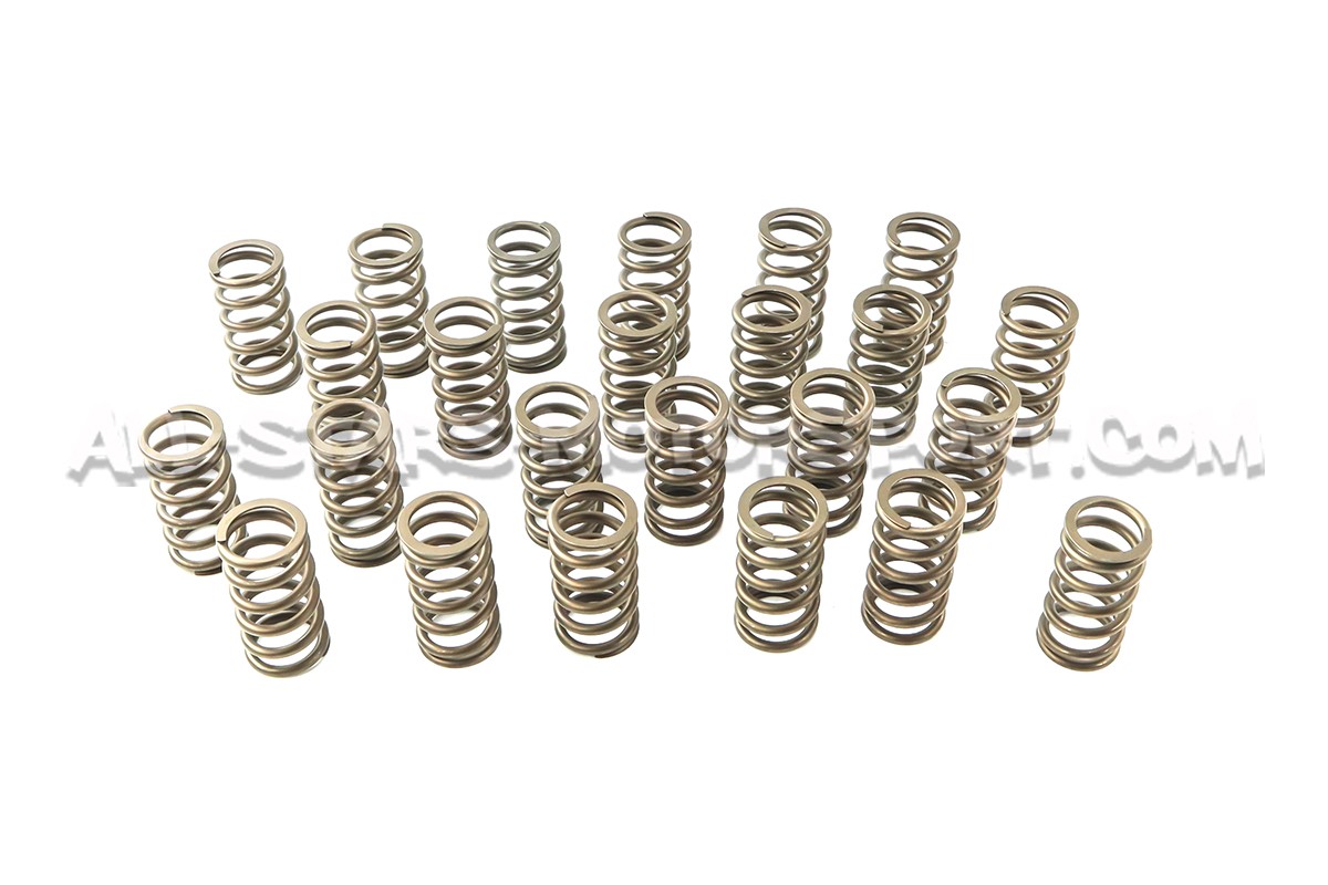 Kit ressorts et coupelles de soupape Ferrea pour BMW 135i E8x / 335...
