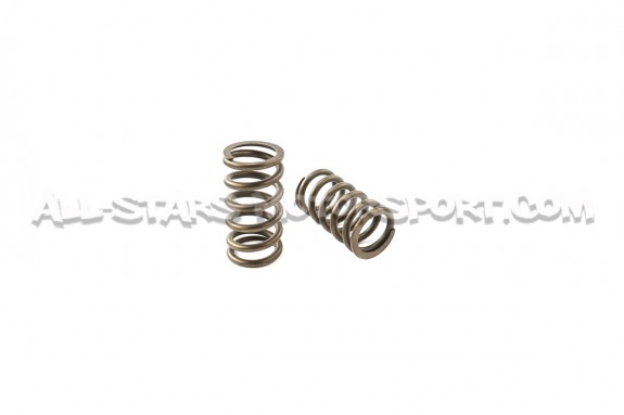 Ferrea Valve Springs and Retainers Kit for BMW 135i E8x / 335i E9x N54