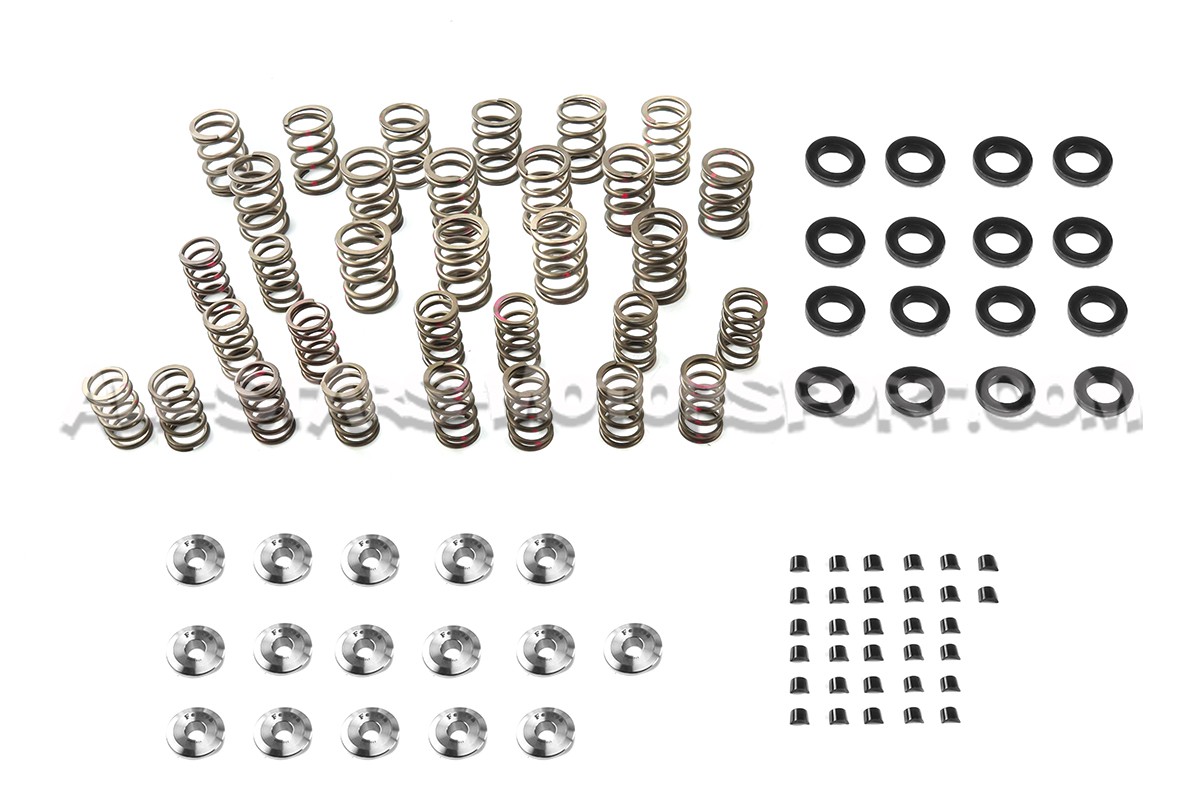 Ferrea Valve Springs and Retainers Kit for Subaru Impreza WRX STI 0...
