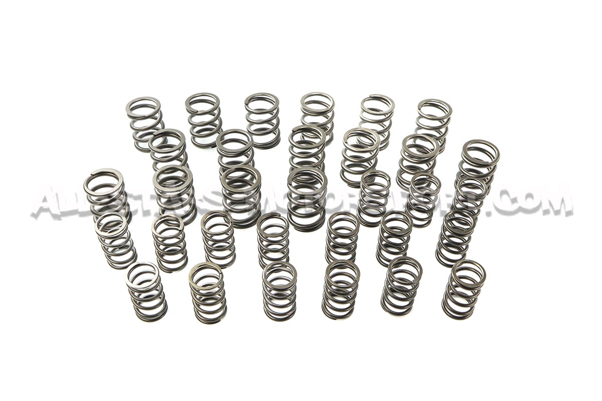 Ferrea Valve Springs and Retainers Kit for Subaru Impreza WRX STI 0...