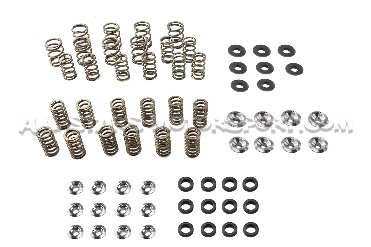 Ferrea Valve Springs and Retainers Kit for S3 8L / TT 8N / Leon 1M / Golf 4 GTI 1.8T 20V