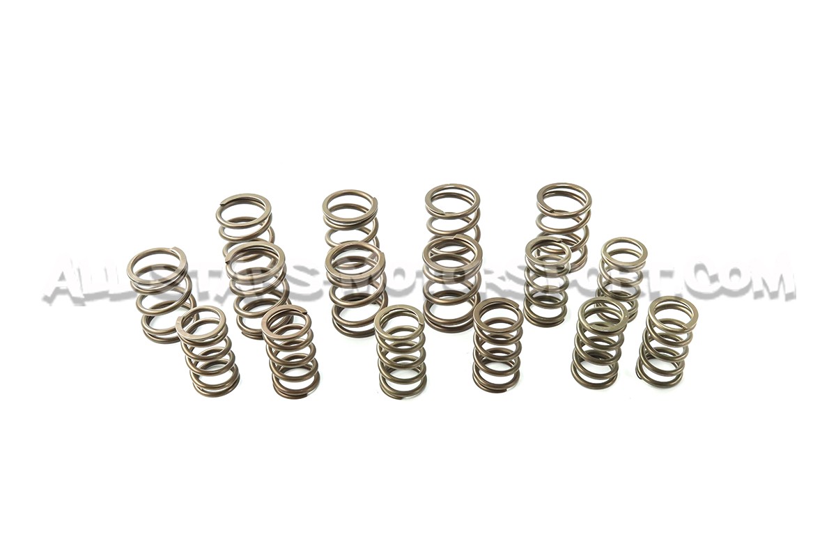 Kit de muelles y copelas de valvula Ferrea para S3 8L / TT 8N / Leo...