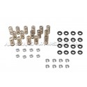Ferrea Valve Springs and Retainers Kit for Golf 6 GTI / Scirocco / ...