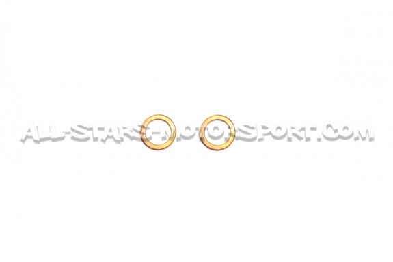 Latiguillos de freno metalicos Goodridge para Clio 4 RS